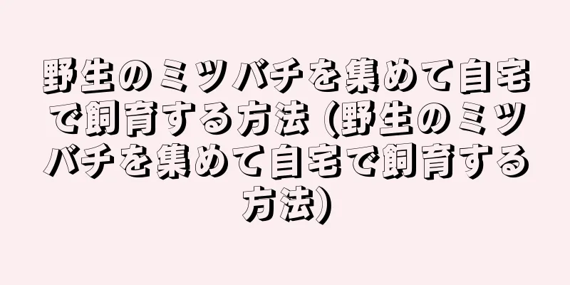 野生のミツバチを集めて自宅で飼育する方法 (野生のミツバチを集めて自宅で飼育する方法)