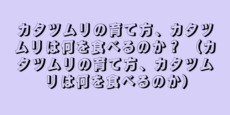 カタツムリの育て方、カタツムリは何を食べるのか？ （カタツムリの育て方、カタツムリは何を食べるのか）