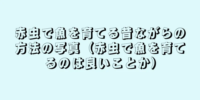 赤虫で魚を育てる昔ながらの方法の写真（赤虫で魚を育てるのは良いことか）