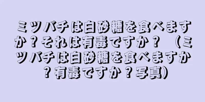 ミツバチは白砂糖を食べますか？それは有毒ですか？ （ミツバチは白砂糖を食べますか？有毒ですか？写真）