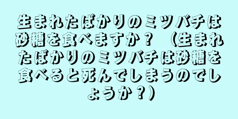 生まれたばかりのミツバチは砂糖を食べますか？ （生まれたばかりのミツバチは砂糖を食べると死んでしまうのでしょうか？）