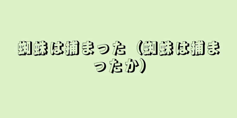 蜘蛛は捕まった（蜘蛛は捕まったか）