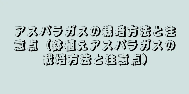 アスパラガスの栽培方法と注意点（鉢植えアスパラガスの栽培方法と注意点）