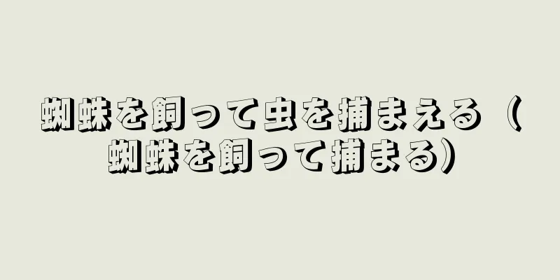 蜘蛛を飼って虫を捕まえる（蜘蛛を飼って捕まる）