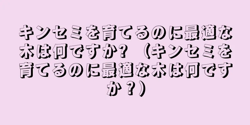 キンセミを育てるのに最適な木は何ですか? （キンセミを育てるのに最適な木は何ですか？）