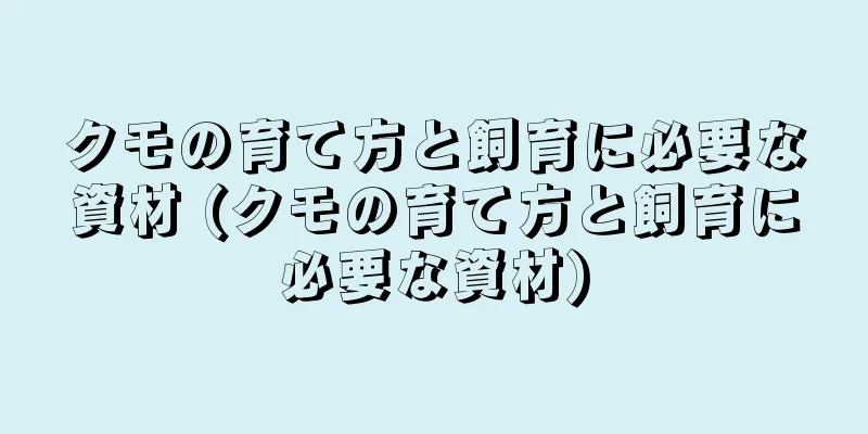 クモの育て方と飼育に必要な資材 (クモの育て方と飼育に必要な資材)