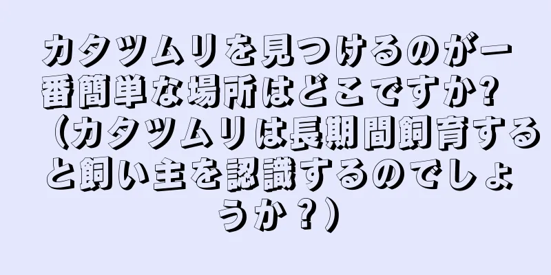 カタツムリを見つけるのが一番簡単な場所はどこですか? （カタツムリは長期間飼育すると飼い主を認識するのでしょうか？）