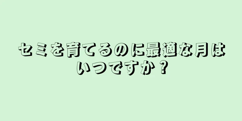 セミを育てるのに最適な月はいつですか？