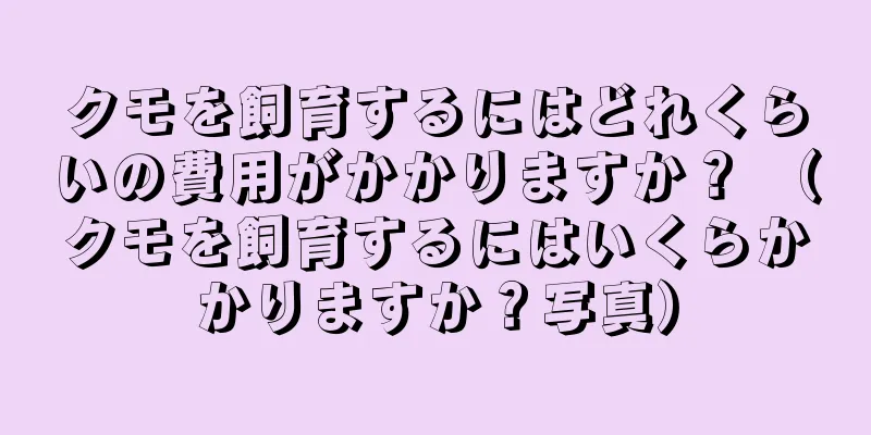 クモを飼育するにはどれくらいの費用がかかりますか？ （クモを飼育するにはいくらかかりますか？写真）