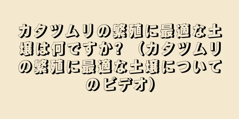カタツムリの繁殖に最適な土壌は何ですか? （カタツムリの繁殖に最適な土壌についてのビデオ）