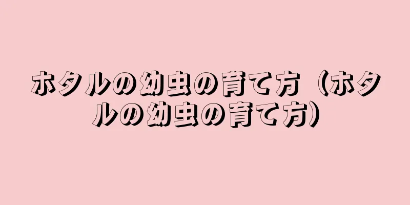 ホタルの幼虫の育て方（ホタルの幼虫の育て方）