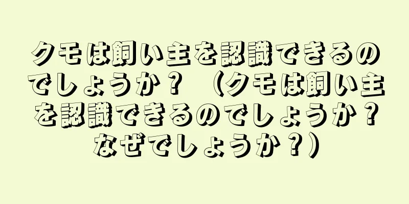 クモは飼い主を認識できるのでしょうか？ （クモは飼い主を認識できるのでしょうか？なぜでしょうか？）