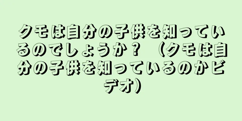 クモは自分の子供を知っているのでしょうか？ （クモは自分の子供を知っているのかビデオ）