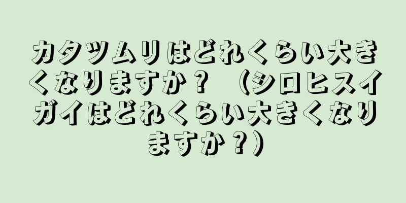 カタツムリはどれくらい大きくなりますか？ （シロヒスイガイはどれくらい大きくなりますか？）