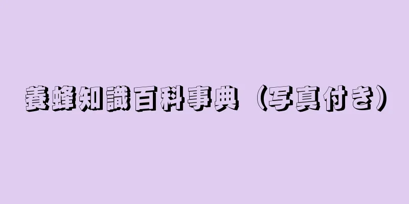 養蜂知識百科事典（写真付き）