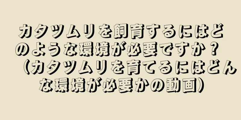 カタツムリを飼育するにはどのような環境が必要ですか？ （カタツムリを育てるにはどんな環境が必要かの動画）
