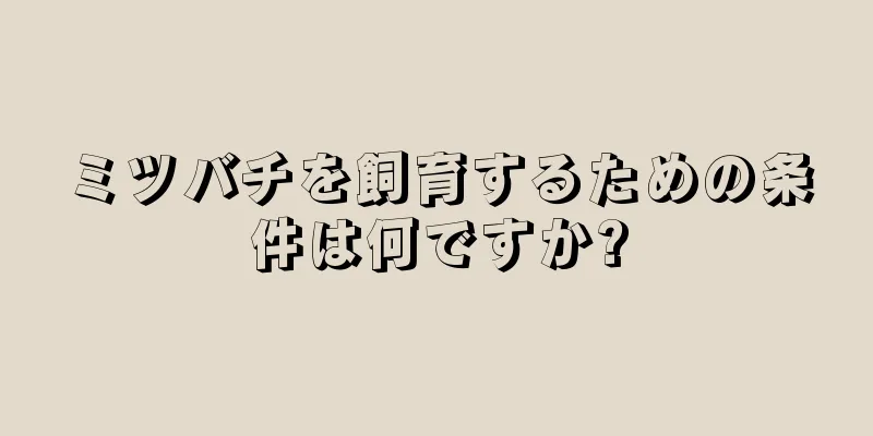 ミツバチを飼育するための条件は何ですか?