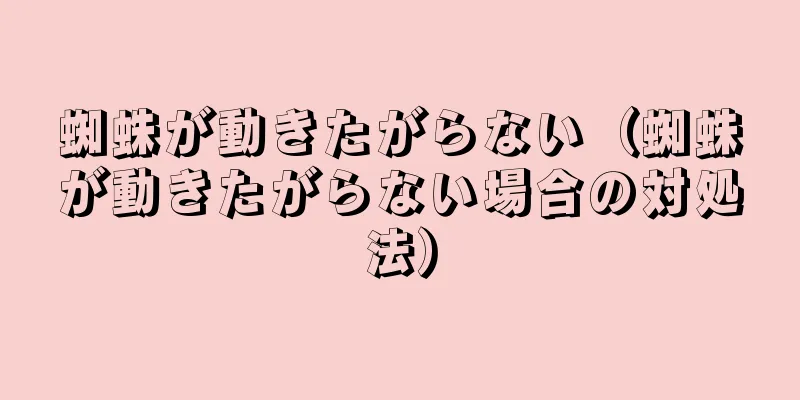 蜘蛛が動きたがらない（蜘蛛が動きたがらない場合の対処法）