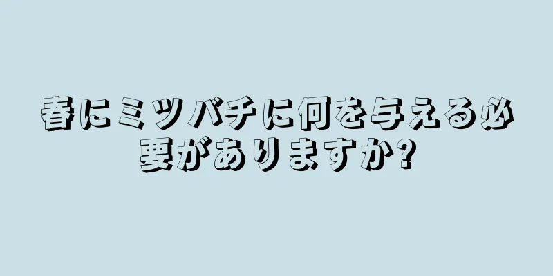 春にミツバチに何を与える必要がありますか?