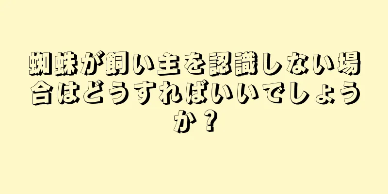 蜘蛛が飼い主を認識しない場合はどうすればいいでしょうか？