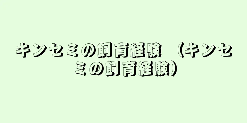 キンセミの飼育経験 （キンセミの飼育経験）