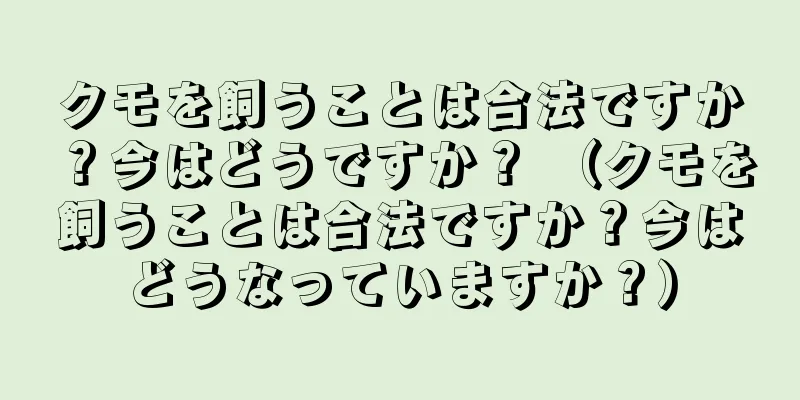 クモを飼うことは合法ですか？今はどうですか？ （クモを飼うことは合法ですか？今はどうなっていますか？）