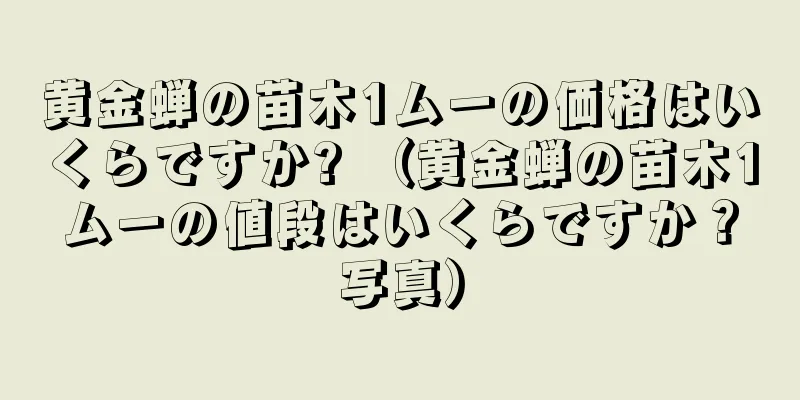 黄金蝉の苗木1ムーの価格はいくらですか? （黄金蝉の苗木1ムーの値段はいくらですか？写真）