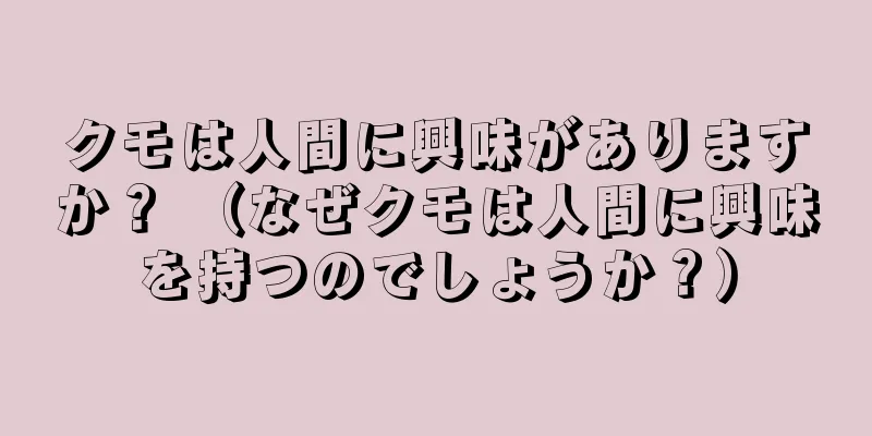 クモは人間に興味がありますか？ （なぜクモは人間に興味を持つのでしょうか？）