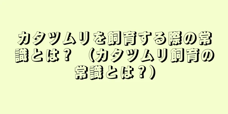 カタツムリを飼育する際の常識とは？ （カタツムリ飼育の常識とは？）