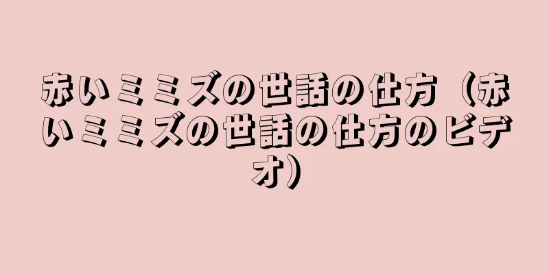 赤いミミズの世話の仕方（赤いミミズの世話の仕方のビデオ）