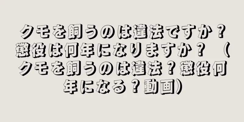 クモを飼うのは違法ですか？懲役は何年になりますか？ （クモを飼うのは違法？懲役何年になる？動画）