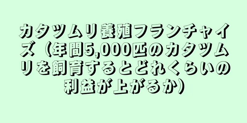 カタツムリ養殖フランチャイズ（年間5,000匹のカタツムリを飼育するとどれくらいの利益が上がるか）