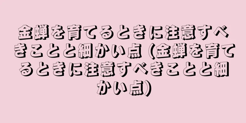 金蝉を育てるときに注意すべきことと細かい点 (金蝉を育てるときに注意すべきことと細かい点)