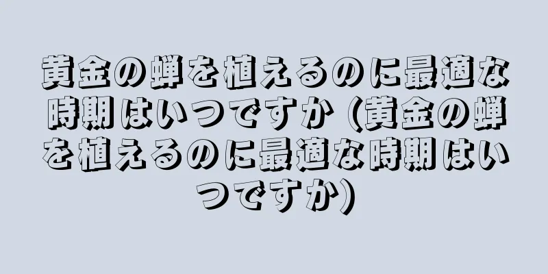 黄金の蝉を植えるのに最適な時期はいつですか (黄金の蝉を植えるのに最適な時期はいつですか)