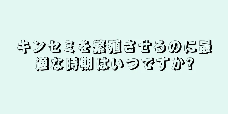 キンセミを繁殖させるのに最適な時期はいつですか?