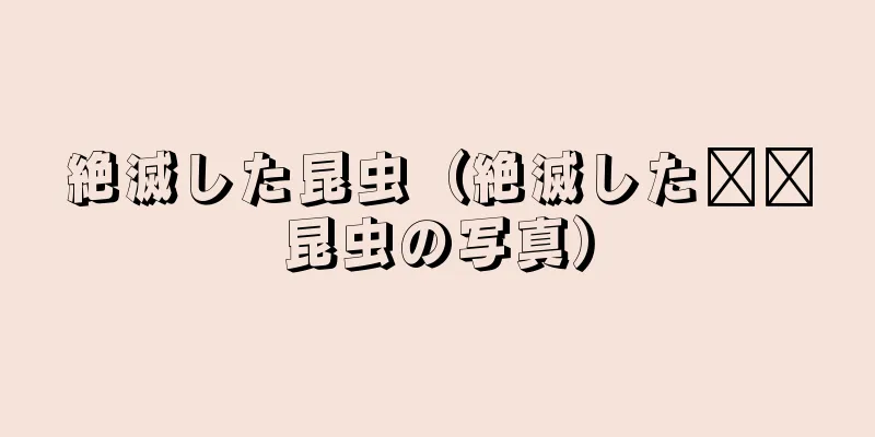 絶滅した昆虫（絶滅した​​昆虫の写真）