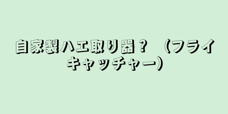 自家製ハエ取り器？ （フライキャッチャー）