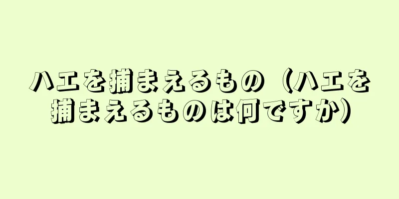 ハエを捕まえるもの（ハエを捕まえるものは何ですか）
