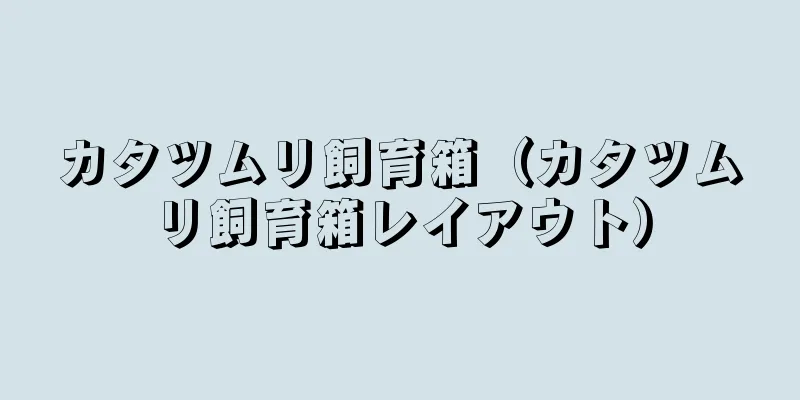 カタツムリ飼育箱（カタツムリ飼育箱レイアウト）