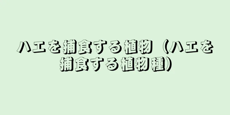ハエを捕食する植物（ハエを捕食する植物種）