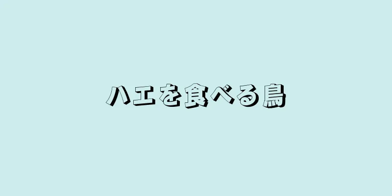 ハエを食べる鳥