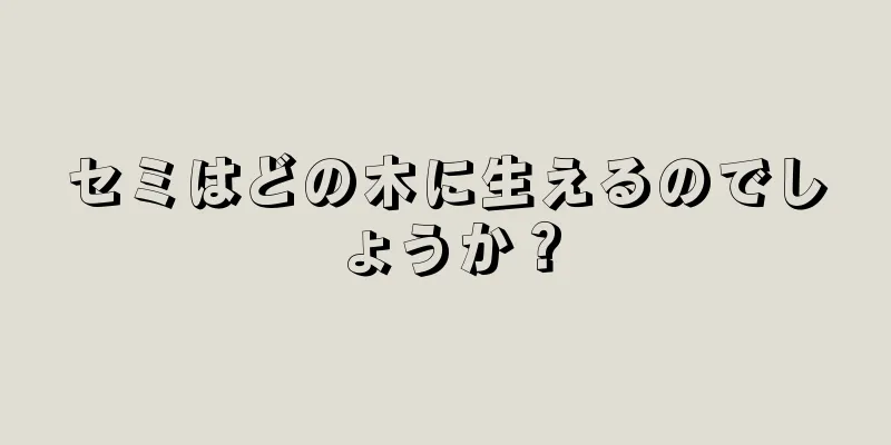 セミはどの木に生えるのでしょうか？