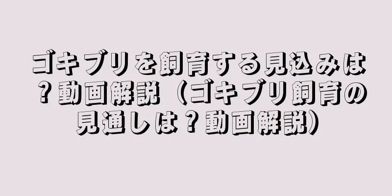 ゴキブリを飼育する見込みは？動画解説（ゴキブリ飼育の見通しは？動画解説）