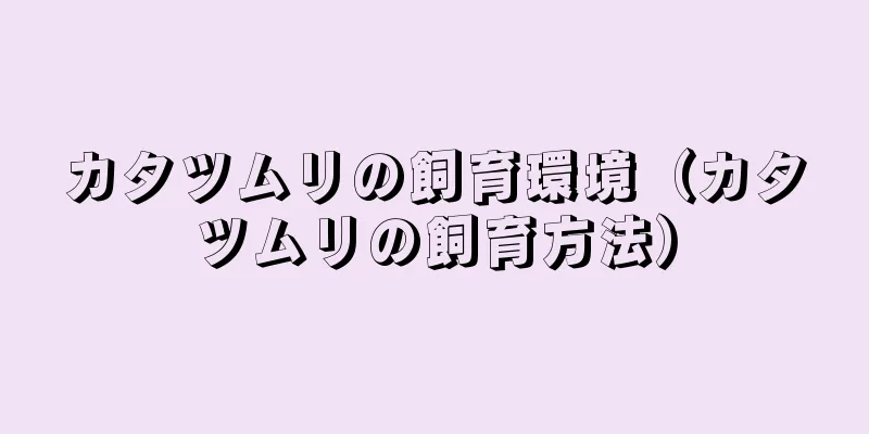 カタツムリの飼育環境（カタツムリの飼育方法）