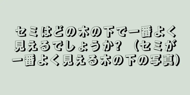 セミはどの木の下で一番よく見えるでしょうか? （セミが一番よく見える木の下の写真）