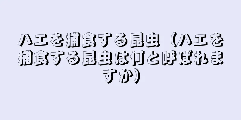 ハエを捕食する昆虫（ハエを捕食する昆虫は何と呼ばれますか）