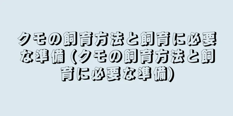 クモの飼育方法と飼育に必要な準備 (クモの飼育方法と飼育に必要な準備)