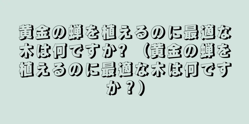 黄金の蝉を植えるのに最適な木は何ですか? （黄金の蝉を植えるのに最適な木は何ですか？）