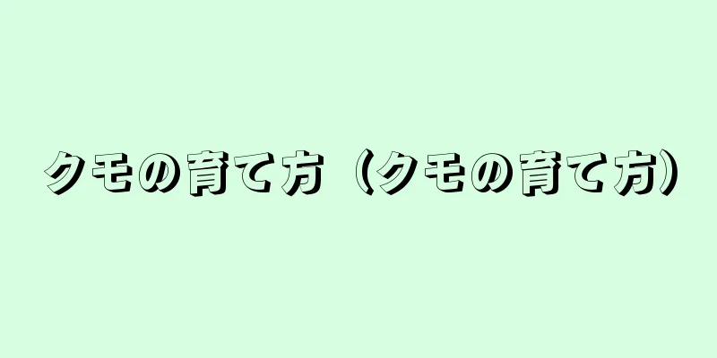 クモの育て方（クモの育て方）