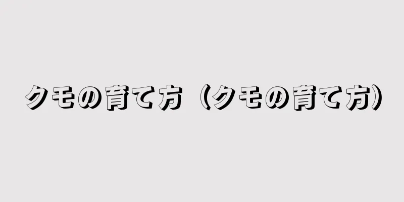 クモの育て方（クモの育て方）